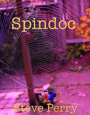 Cover of the book Spindoc by The Cross and the Cosmos Jr