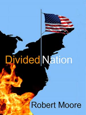 Book cover of Divided Nation