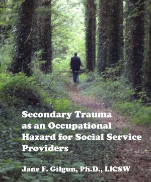 Cover of the book Secondary Trauma as an Occupational Hazard for Social Service Providers by Jane Gilgun