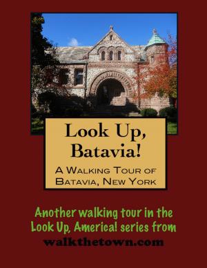 Cover of the book Look Up, Batavia! A Walking Tour of Batavia, New York by Doug Gelbert