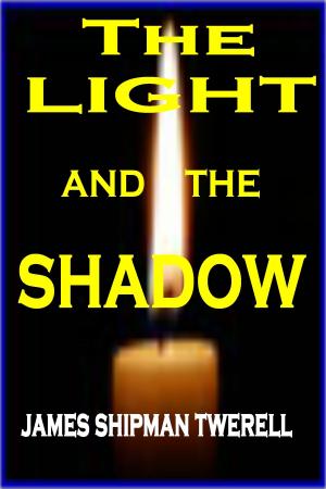 Cover of the book The Light and the Shadow by Andrew Woodmaker