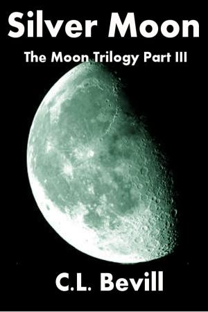 Cover of Silver Moon (Moon Trilogy Part III)