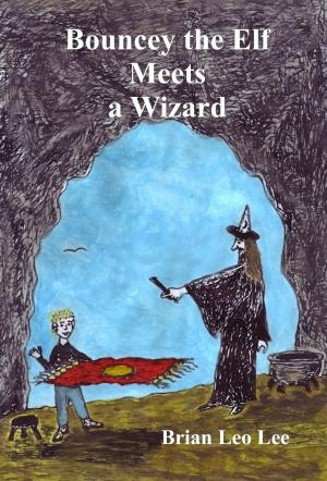 Book cover of Bouncey the Elf Meets a Wizard