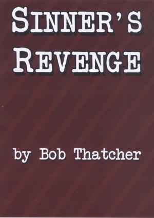 Cover of the book Sinner's Revenge by Dawn Millen