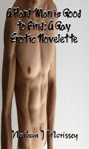 Cover of the book A Hard Man is Good to Find: A Gay Erotic Novelette by Elizabeth Quertier