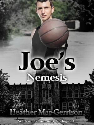 Book cover of Joe's Nemesis