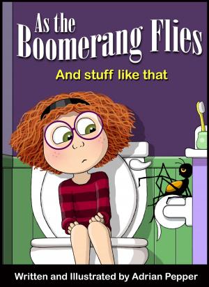 Cover of the book As The Boomerang Flies. And stuff like that by Steve Lake