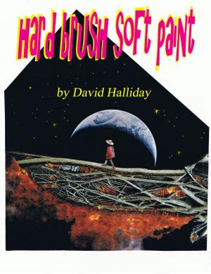 Cover of Hard Brush Soft Paint