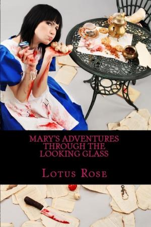 Book cover of Mary's Adventures Through the Looking Glass