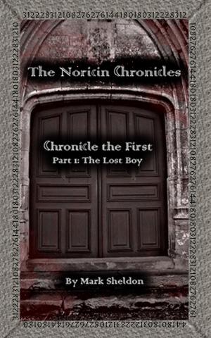 Book cover of The Noricin Chronicles: The Lost Boy