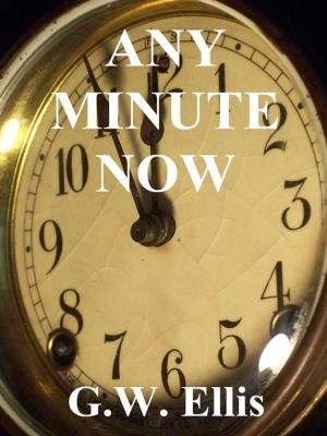 Cover of the book Any Minute Now by Kathleen Valentine