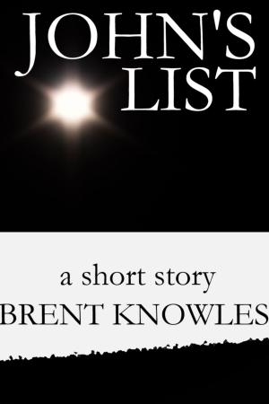 Cover of the book John's List by Patti O'Shea