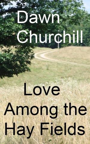 bigCover of the book Love Among the Hay Fields by 