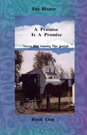 Book cover of A Promise Is A Promise-book 1-Nurse Hal Among The Amish