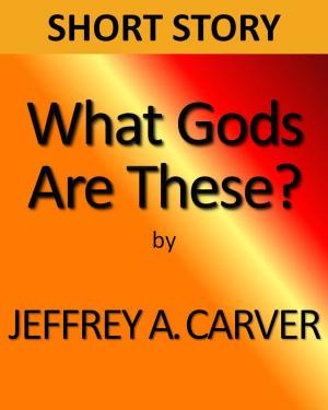 Book cover of What Gods Are These?