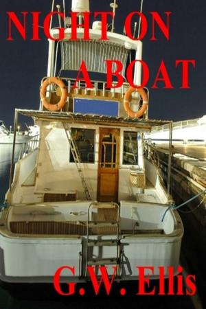 Cover of the book Night On A Boat by Lee Robertson