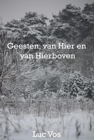 Cover of the book Geesten, van Hier en Van Hierboven by 子陽