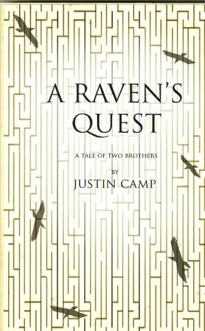 Cover of the book A Raven's Quest by Steven Burgauer