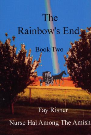 Book cover of The Rainbow's End-book 2-Nurse Hal Among The Amish