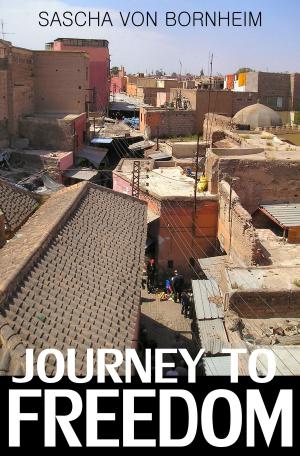 Book cover of Journey to Freedom: Moroccan Stories