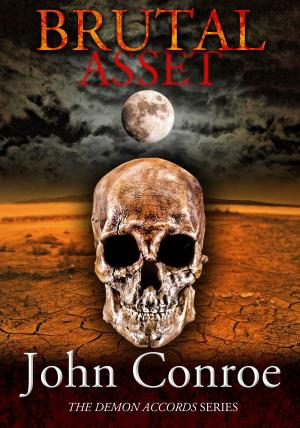 Cover of the book Brutal Asset by Stephen Hunt