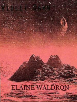 Book cover of Violet Dawn