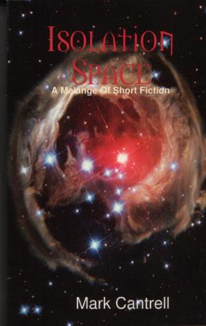 Cover of the book Isolation Space (Anthology) by Aaron Hollingsworth
