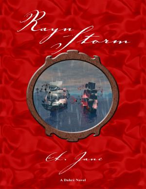 Book cover of Rayn Storm