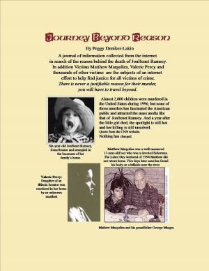 Cover of Journey Beyond Reason