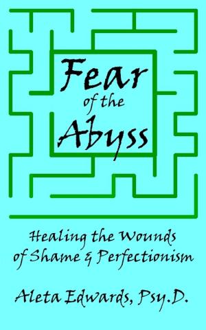 Book cover of Fear of the Abyss: Healing the Wounds of Shame & Perfectionism