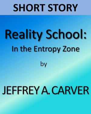 Book cover of Reality School: In the Entropy Zone