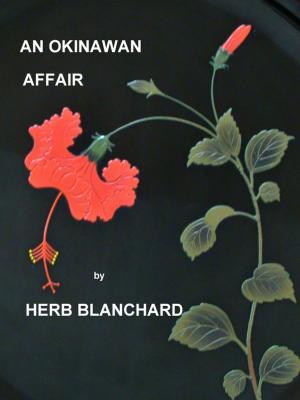Book cover of An Okinawan Affair