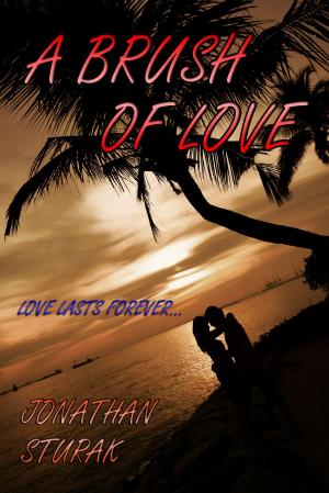 Cover of the book A Brush of Love by S. Ann Cole