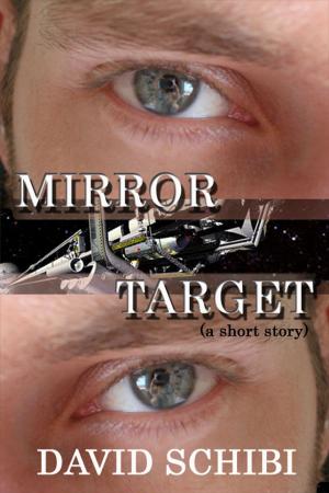 bigCover of the book Mirror Target by 