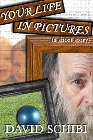 Cover of the book Your Life In Pictures by Joe Adamo