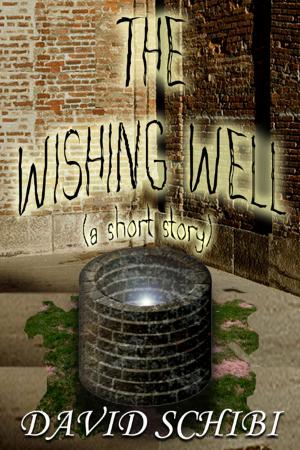 Cover of the book The Wishing Well by John M. Williams