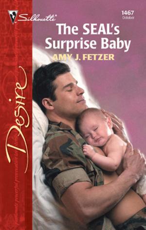 Cover of the book The Seal's Surprise Baby by Erica Orloff