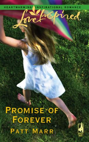 Cover of the book Promise of Forever by Kerri Mountain