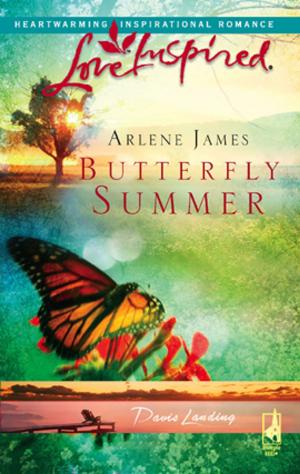 Cover of the book Butterfly Summer by Lois Richer