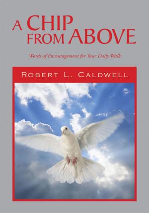Cover of the book A Chip from Above by Michael S. Campbell