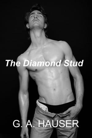 Cover of the book The Diamond Stud by GA Hauser