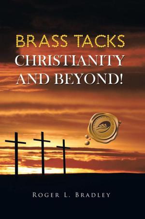 Cover of the book Brass Tacks Christianity and Beyond! by Raj Lowenstein