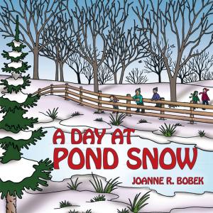 Cover of the book A Day at Pond Snow by Peter Yuen