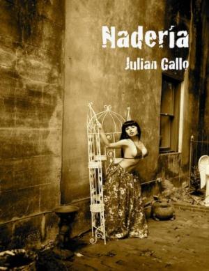 Cover of the book Naderia by Alejandro Palomas