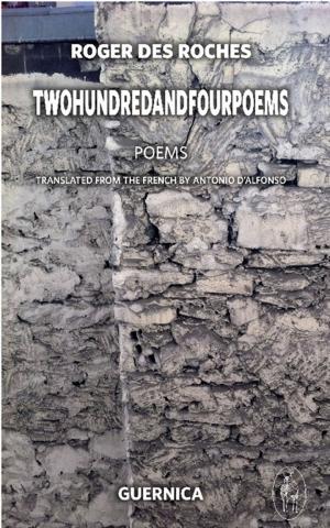 Cover of the book Twohundredandfourpoems by Malca Litovitz, Elana Wolff