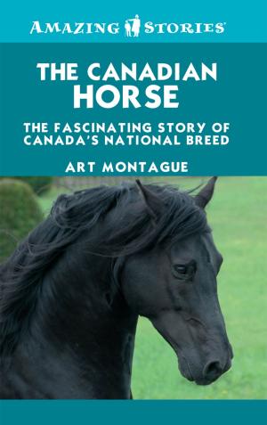 Cover of the book The Canadian Horse by Kathy Stinson