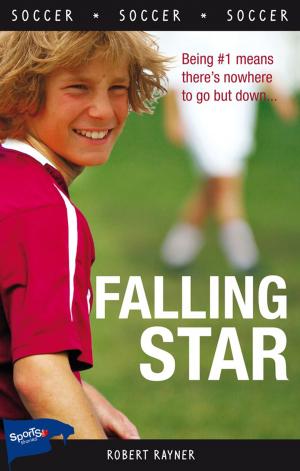 Cover of the book Falling Star by Andrew Hind, Maria Da Silva