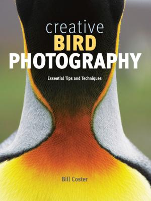 Book cover of Creative Bird Photography