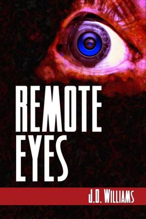 Cover of the book Remote Eyes by P. Temple Hickey