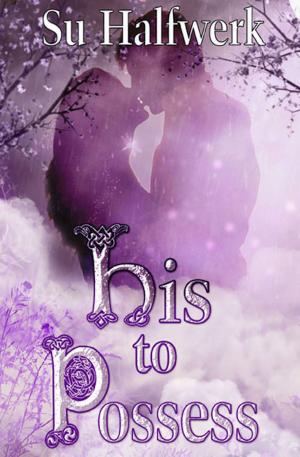 Cover of the book His to Possess by S.L. Danielson, Cheryl Headford